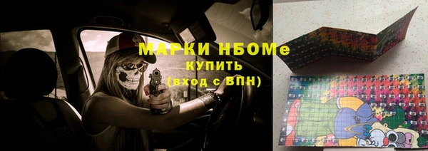 тгк Новодвинск