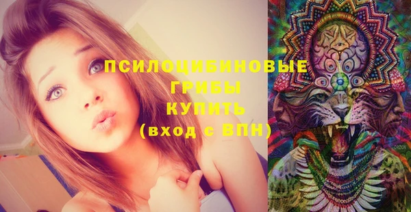 тгк Новодвинск