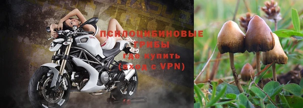 мескалин Новозыбков