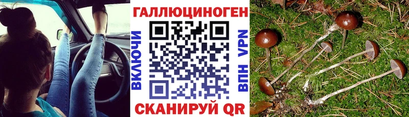 Галлюциногенные грибы GOLDEN TEACHER Полтавская