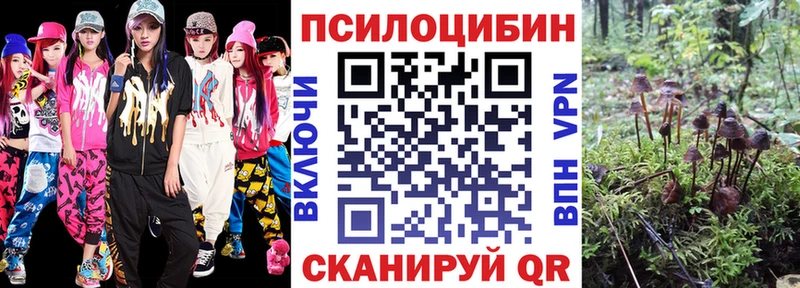 купить наркотик  Полтавская  Галлюциногенные грибы GOLDEN TEACHER 