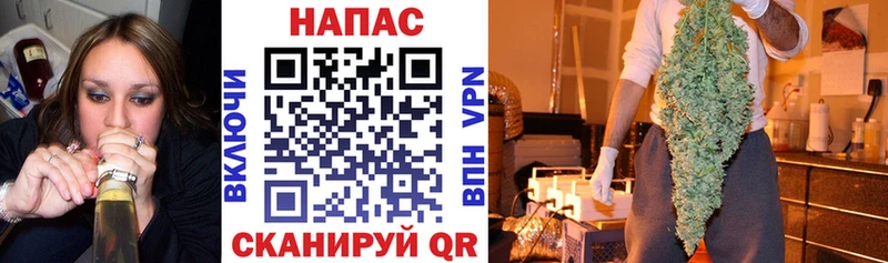 МАРИХУАНА семена Полтавская